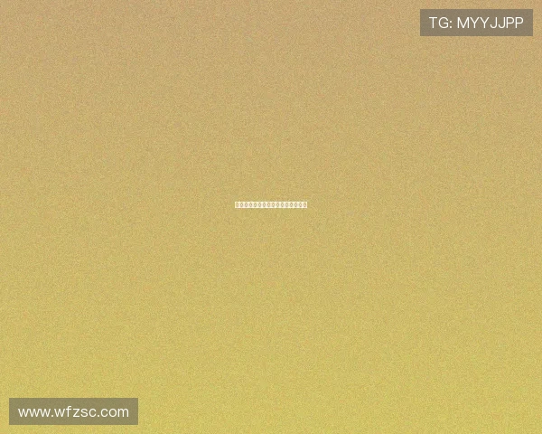 战术运输机在土质跑道的起降适应性